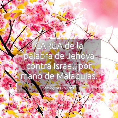 Picture 05 - Malaquías 1:1 RVA - CARGA de la palabra de Jehová contra Israel, por - Bible Verse Picture