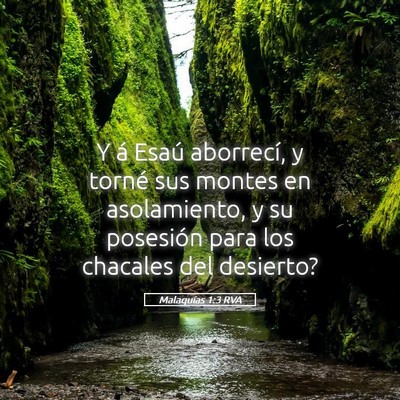Picture 05 - Malaquías 1:3 RVA - Y á Esaú aborrecí, y torné sus montes en - Bible Verse Picture