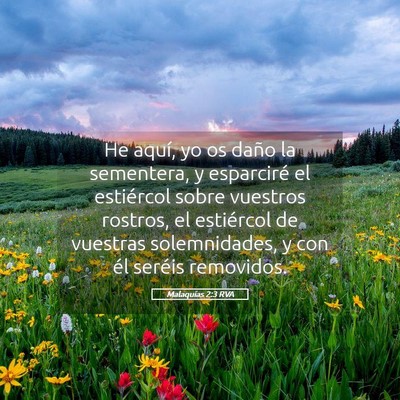 Picture 05 - Malaquías 2:3 RVA - He aquí, yo os daño la sementera, y esparciré - Bible Verse Picture