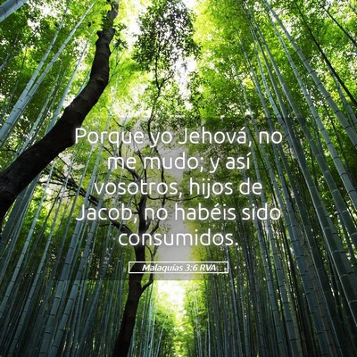 Picture 05 - Malaquías 3:6 RVA - Porque yo Jehová, no me mudo; y así vosotros, - Bible Verse Picture