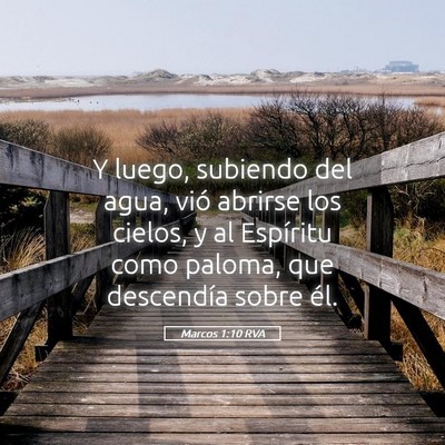Picture 05 - Marcos 1:10 RVA - Y luego, subiendo del agua, vió abrirse los - Bible Verse Picture