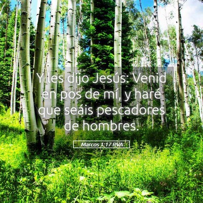 Picture 05 - Marcos 1:17 RVA - Y les dijo Jesús: Venid en pos de mí, y haré - Bible Verse Picture