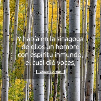 Picture 05 - Marcos 1:23 RVA - Y había en la sinagoga de ellos un hombre con - Bible Verse Picture
