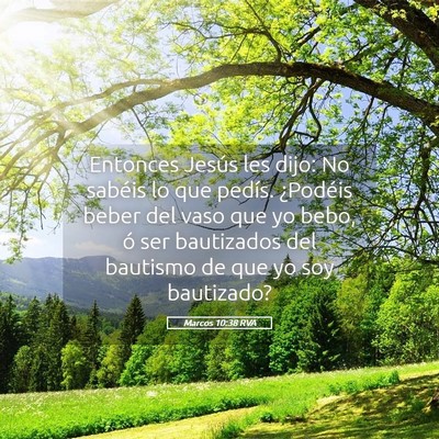 Picture 05 - Marcos 10:38 RVA - Entonces Jesús les dijo: No sabéis lo que - Bible Verse Picture