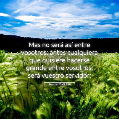 Picture 05 - Marcos 10:43 RVA - Mas no será así entre vosotros: antes - Bible Verse Picture
