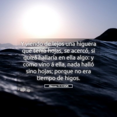 Picture 05 - Marcos 11:13 RVA - Y viendo de lejos una higuera que tenía hojas, - Bible Verse Picture