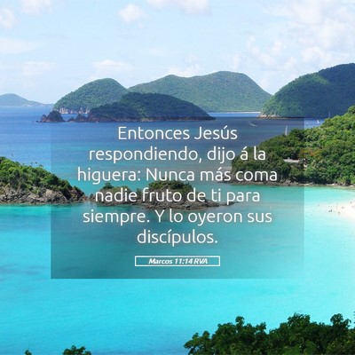 Picture 05 - Marcos 11:14 RVA - Entonces Jesús respondiendo, dijo á la higuera: - Bible Verse Picture