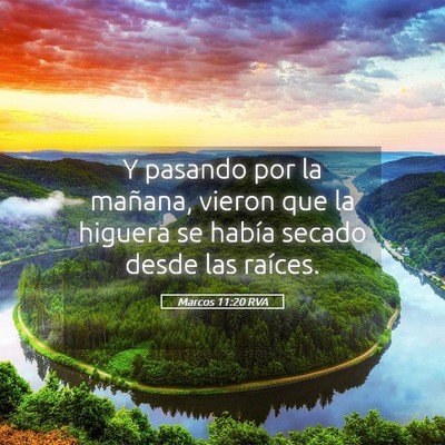 Picture 05 - Marcos 11:20 RVA - Y pasando por la mañana, vieron que la higuera - Bible Verse Picture
