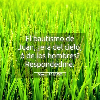 Picture 05 - Marcos 11:30 RVA - El bautismo de Juan, ¿era del cielo, ó de los - Bible Verse Picture