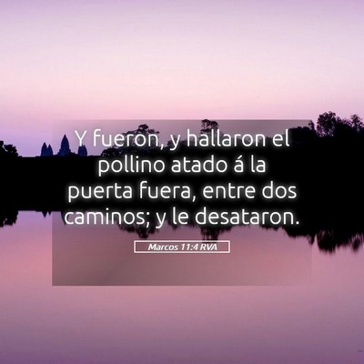 Picture 05 - Marcos 11:4 RVA - Y fueron, y hallaron el pollino atado á la - Bible Verse Picture