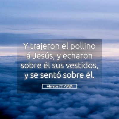 Picture 05 - Marcos 11:7 RVA - Y trajeron el pollino á Jesús, y echaron sobre - Bible Verse Picture