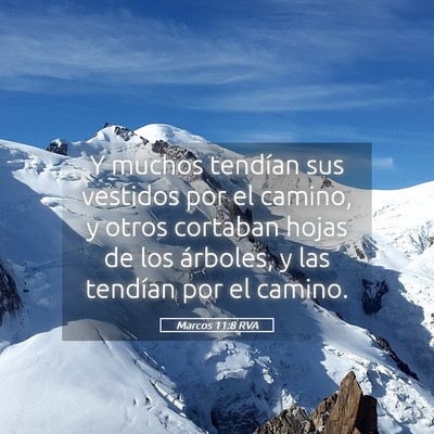 Picture 05 - Marcos 11:8 RVA - Y muchos tendían sus vestidos por el camino, y - Bible Verse Picture