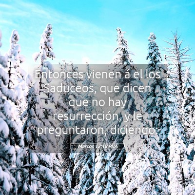 Picture 05 - Marcos 12:18 RVA - Entonces vienen á el los Saduceos, que dicen que - Bible Verse Picture