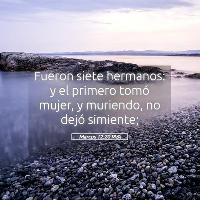 Picture 05 - Marcos 12:20 RVA - Fueron siete hermanos: y el primero tomó mujer, - Bible Verse Picture