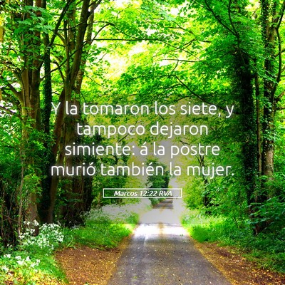 Picture 05 - Marcos 12:22 RVA - Y la tomaron los siete, y tampoco dejaron - Bible Verse Picture
