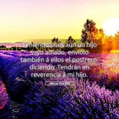 Picture 05 - Marcos 12:6 RVA - Teniendo pues aún un hijo suyo amado, enviólo - Bible Verse Picture