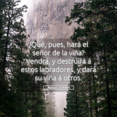Picture 05 - Marcos 12:9 RVA - ¿Qué, pues, hará el señor de la viña? - Bible Verse Picture