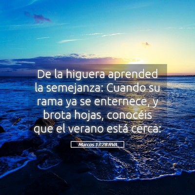Picture 05 - Marcos 13:28 RVA - De la higuera aprended la semejanza: Cuando su - Bible Verse Picture
