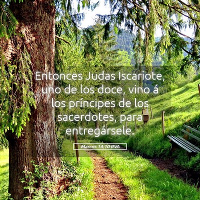 Picture 05 - Marcos 14:10 RVA - Entonces Judas Iscariote, uno de los doce, vino - Bible Verse Picture