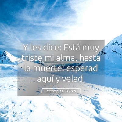 Picture 05 - Marcos 14:34 RVA - Y les dice: Está muy triste mi alma, hasta la - Bible Verse Picture