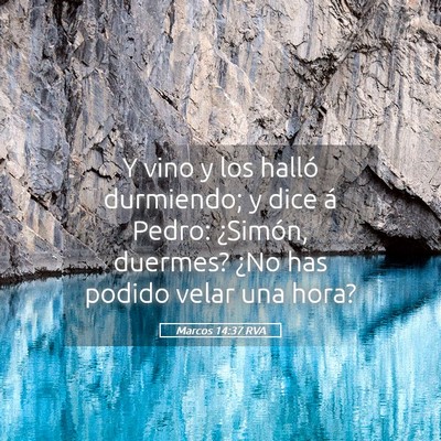 Picture 05 - Marcos 14:37 RVA - Y vino y los halló durmiendo; y dice á Pedro: - Bible Verse Picture