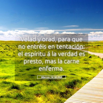 Picture 05 - Marcos 14:38 RVA - Velad y orad, para que no entréis en tentación: - Bible Verse Picture