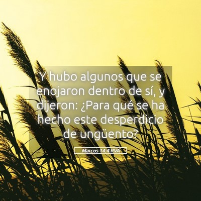 Picture 05 - Marcos 14:4 RVA - Y hubo algunos que se enojaron dentro de sí, y - Bible Verse Picture