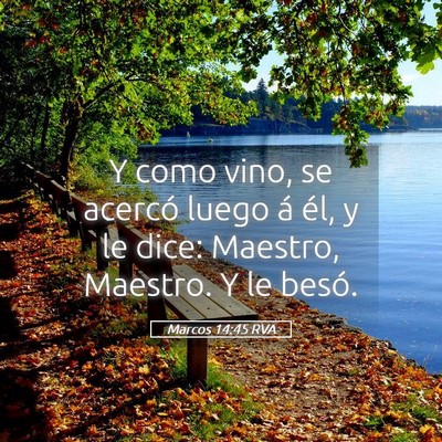 Picture 05 - Marcos 14:45 RVA - Y como vino, se acercó luego á él, y le dice: - Bible Verse Picture