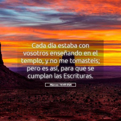 Picture 05 - Marcos 14:49 RVA - Cada día estaba con vosotros enseñando en el - Bible Verse Picture