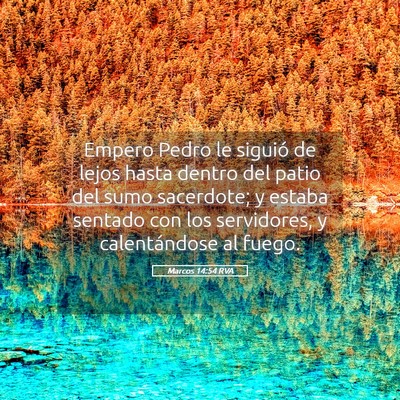 Picture 05 - Marcos 14:54 RVA - Empero Pedro le siguió de lejos hasta dentro del - Bible Verse Picture