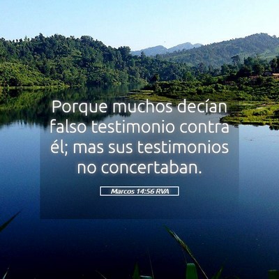 Picture 05 - Marcos 14:56 RVA - Porque muchos decían falso testimonio contra - Bible Verse Picture