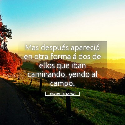 Picture 05 - Marcos 16:12 RVA - Mas después apareció en otra forma á dos de - Bible Verse Picture