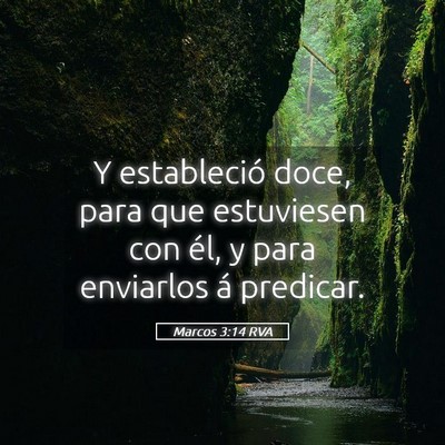 Picture 05 - Marcos 3:14 RVA - Y estableció doce, para que estuviesen con él, - Bible Verse Picture