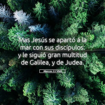 Picture 05 - Marcos 3:7 RVA - Mas Jesús se apartó á la mar con sus - Bible Verse Picture