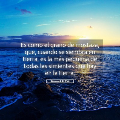 Picture 05 - Marcos 4:31 RVA - Es como el grano de mostaza, que, cuando se - Bible Verse Picture
