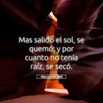 Picture 05 - Marcos 4:6 RVA - Mas salido el sol, se quemó; y por cuanto no - Bible Verse Picture