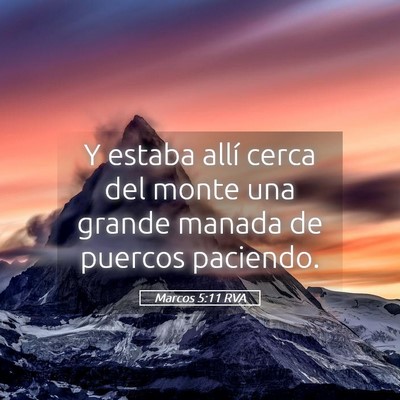 Picture 05 - Marcos 5:11 RVA - Y estaba allí cerca del monte una grande manada - Bible Verse Picture
