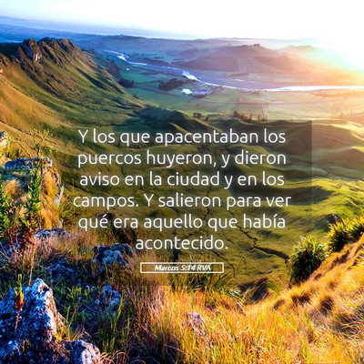 Picture 05 - Marcos 5:14 RVA - Y los que apacentaban los puercos huyeron, y - Bible Verse Picture