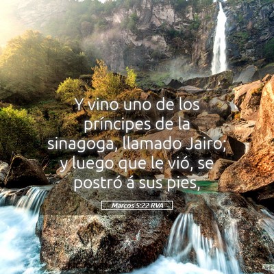 Picture 05 - Marcos 5:22 RVA - Y vino uno de los príncipes de la sinagoga, - Bible Verse Picture