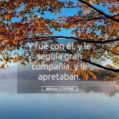 Picture 05 - Marcos 5:24 RVA - Y fué con él, y le seguía gran compañía, y - Bible Verse Picture