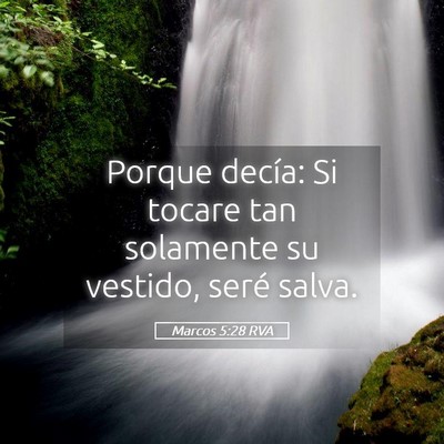 Picture 05 - Marcos 5:28 RVA - Porque decía: Si tocare tan solamente su - Bible Verse Picture