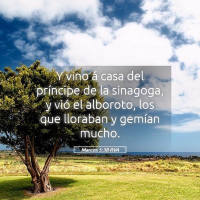 Picture 05 - Marcos 5:38 RVA - Y vino á casa del príncipe de la sinagoga, y - Bible Verse Picture