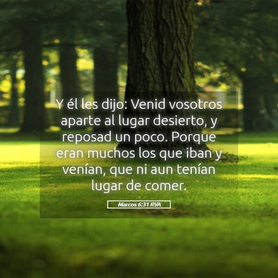 Picture 05 - Marcos 6:31 RVA - Y él les dijo: Venid vosotros aparte al lugar - Bible Verse Picture