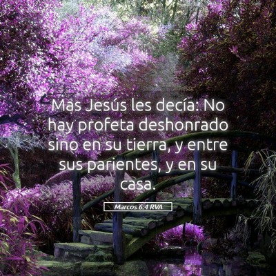 Picture 05 - Marcos 6:4 RVA - Mas Jesús les decía: No hay profeta deshonrado - Bible Verse Picture