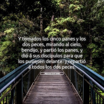Picture 05 - Marcos 6:41 RVA - Y tomados los cinco panes y los dos peces, - Bible Verse Picture