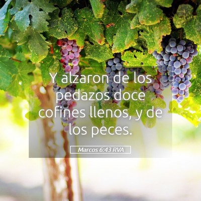 Picture 05 - Marcos 6:43 RVA - Y alzaron de los pedazos doce cofines llenos, y - Bible Verse Picture