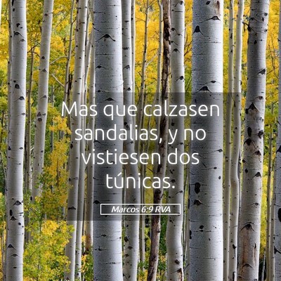Picture 05 - Marcos 6:9 RVA - Mas que calzasen sandalias, y no vistiesen dos - Bible Verse Picture
