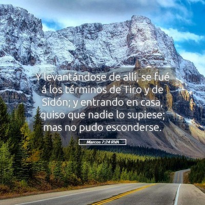 Picture 05 - Marcos 7:24 RVA - Y levantándose de allí, se fué á los - Bible Verse Picture