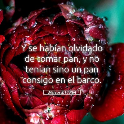 Picture 05 - Marcos 8:14 RVA - Y se habían olvidado de tomar pan, y no tenían - Bible Verse Picture