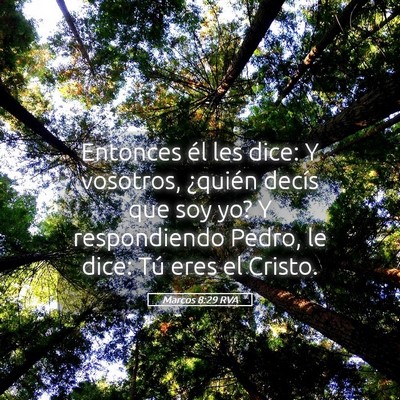 Picture 05 - Marcos 8:29 RVA - Entonces él les dice: Y vosotros, ¿quién - Bible Verse Picture
